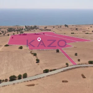 28,438m² Plot for Sale in Agios Theodoros, Larnaca District