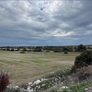 13,378m² Plot for Sale in Kalavasos, Larnaca District