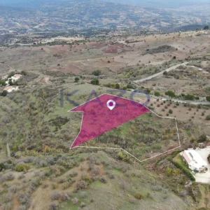 3,846m² Plot for Sale in Drouseia, Paphos District