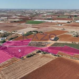 7,879m² Plot for Sale in Sotira, Famagusta District