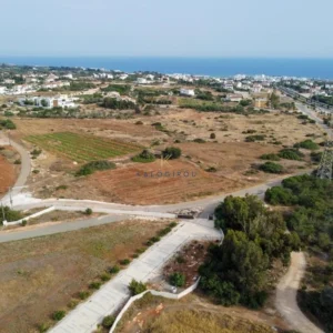 12,890m² Plot for Sale in Famagusta – Agia Napa