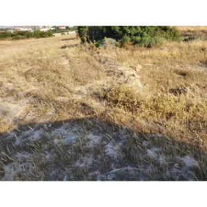 Plot for Sale in Limassol District