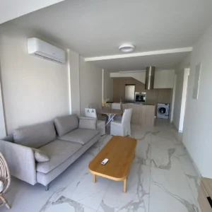 2 Bedroom Apartment for Rent in Dhekelia, Larnaca District