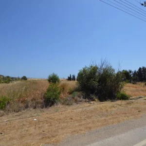 19,566m² Plot for Sale in Kouklia, Paphos District