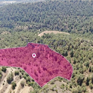 26,190m² Plot for Sale in Kapedes, Nicosia District