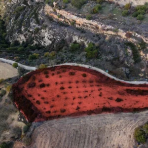 for Sale in Koili, Paphos District