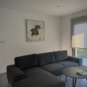 2 Bedroom Apartment for Rent in Limassol – Agios Athanasios
