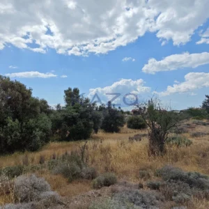 5,352m² Plot for Sale in Moni, Limassol District