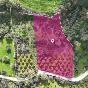Plot for Sale in Skoulli, Paphos District