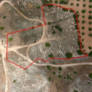100,406m² Plot for Sale in Paphos – Anavargos