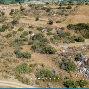 6,689m² Plot for Sale in Pyrgos Lemesou, Limassol District