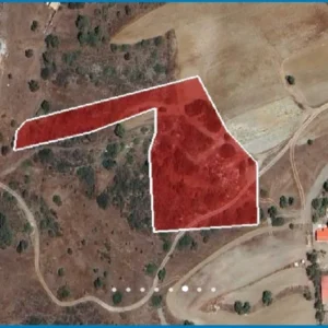6,689m² Plot for Sale in Pyrgos Lemesou, Limassol District