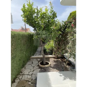 3 Bedroom House for Rent in Limassol District
