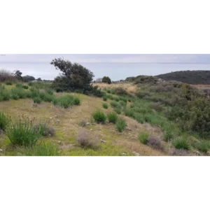 Plot for Sale in Limassol District