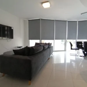 2 Bedroom Apartment for Rent in Larnaca District
