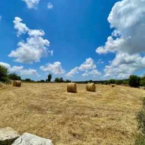 10,703m² Plot for Sale in Anogyra, Limassol District