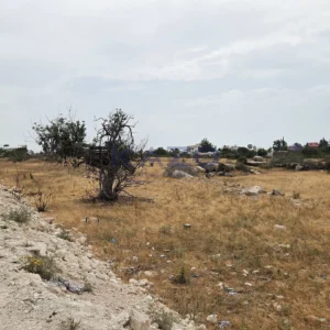 1,459m² Plot for Sale in Ypsonas, Limassol District