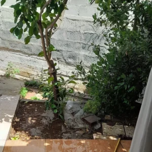 2 Bedroom House for Sale in Nicosia District