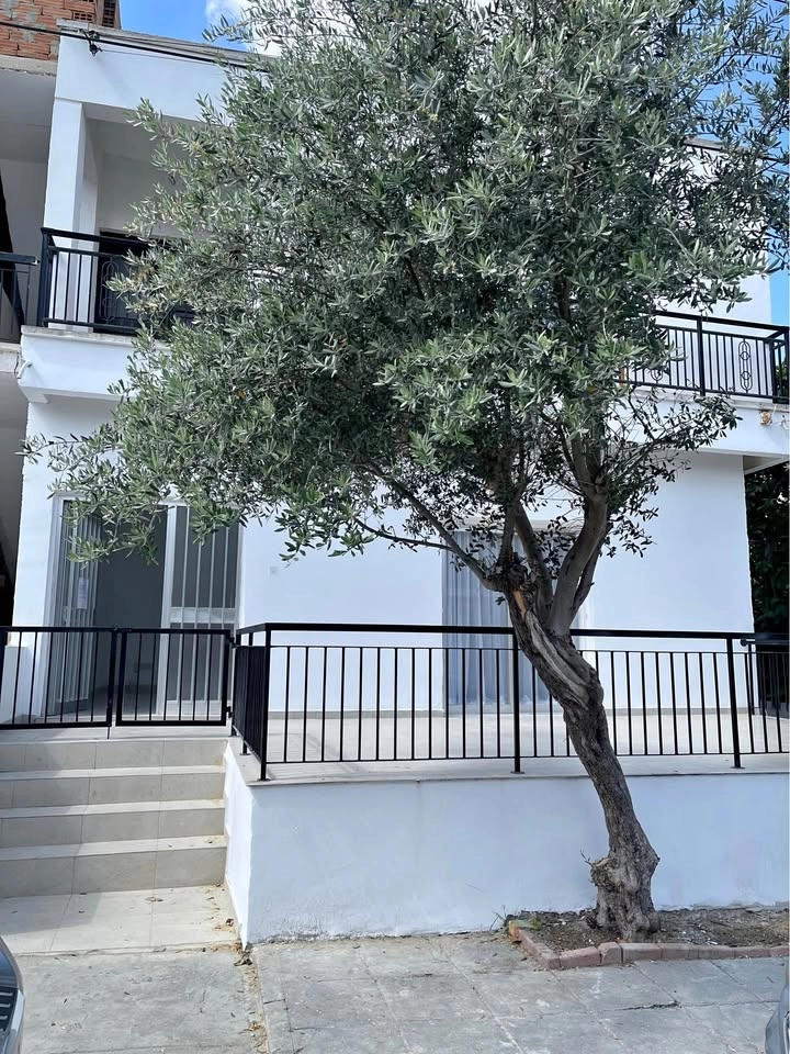 Cheap Houses and Villas for Rent in Cyprus