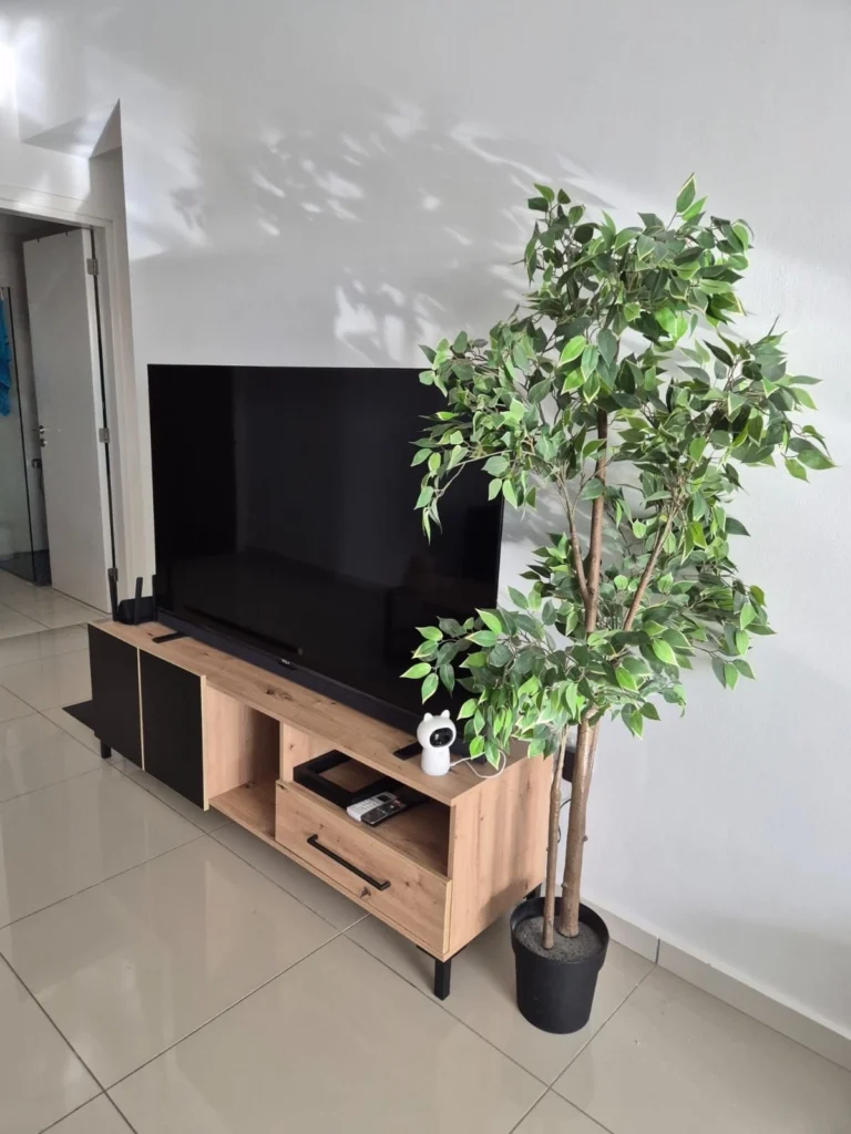 For Rent