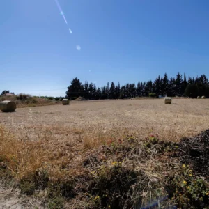 3,242m² Plot for Sale in Meneou, Larnaca District