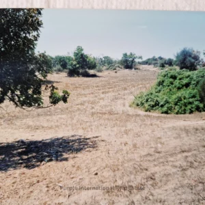32,108m² Plot for Sale in Agios Theodoros, Larnaca District