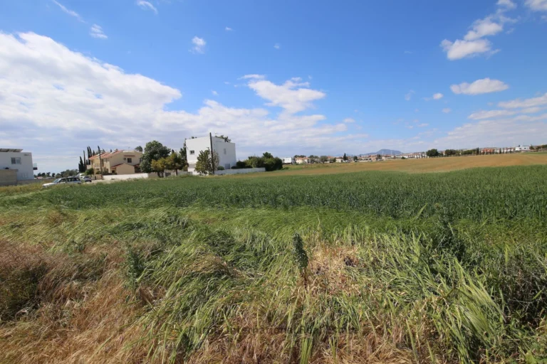 Larnaca