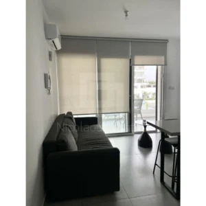 1 Bedroom Apartment for Rent in Aglantzia, Nicosia District