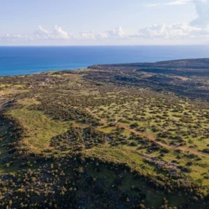 46,489m² Plot for Sale in Pissouri, Limassol District