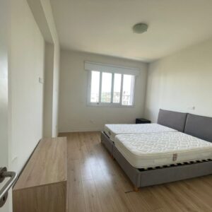 2 Bedroom Apartment for Rent in Kato Polemidia, Limassol District