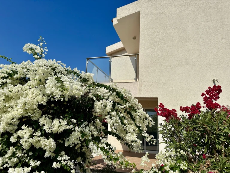 Buy Real Estate in Cyprus