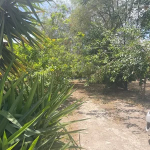 1 Bedroom House for Sale in Larnaca District