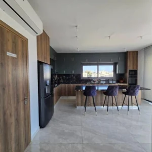 4 Bedroom Apartment for Rent in Larnaca – Agios Nikolaos, Limassol District