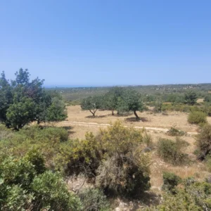 Plot for Sale in Souni, Limassol District
