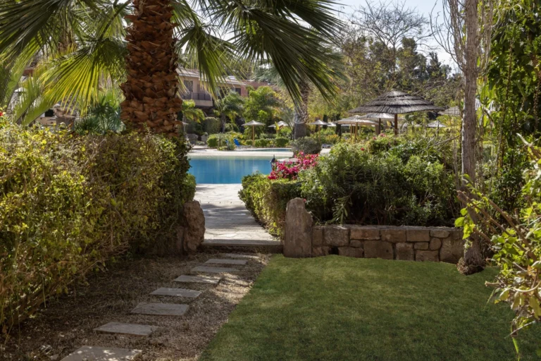 Average Price of a House in Paphos
