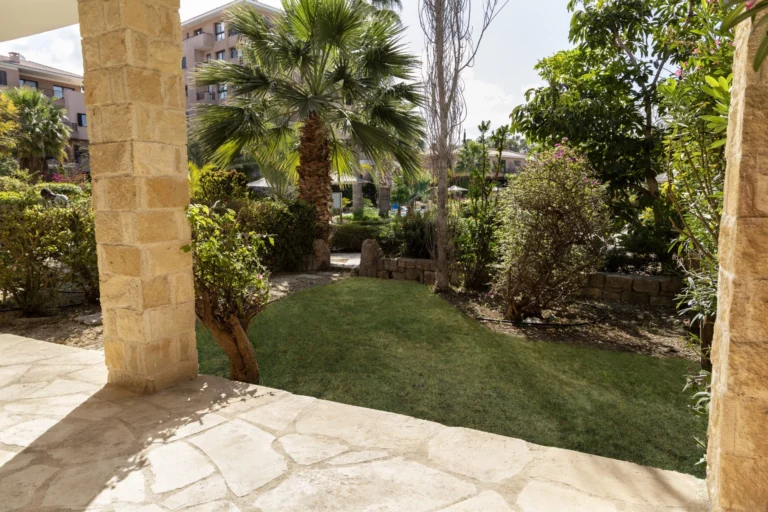 Average Price of a House in Paphos