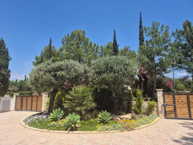 Average Price of a House in Paphos