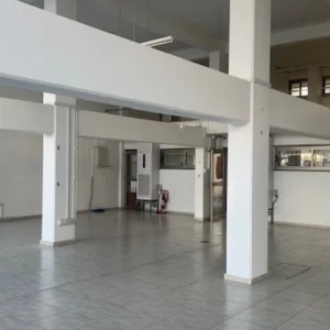 for Rent in Larnaca – Agios Nikolaos, Limassol District