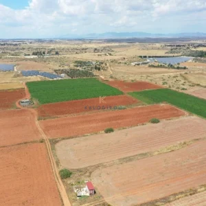 27,443m² Plot for Sale in Avgorou, Famagusta District