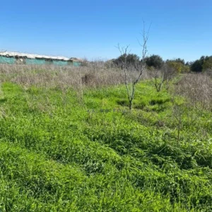 4,005m² Plot for Sale in Kiti, Larnaca District