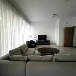 3 Bedroom Apartment for Rent in Limassol District
