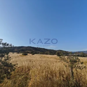 24,661m² Plot for Sale in Parekklisia, Limassol District