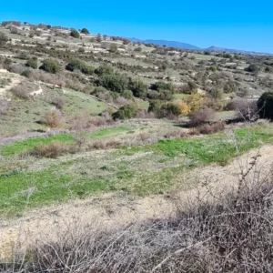 5,686m² Plot for Sale in Dora, Limassol District