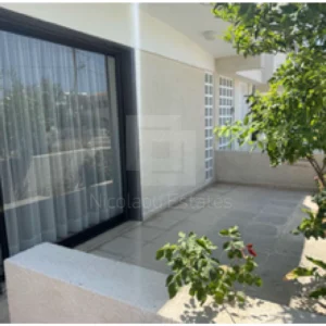 3 Bedroom House for Rent in Dasoupolis, Nicosia District
