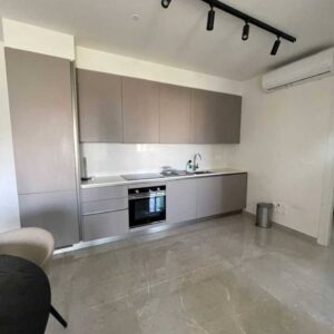 1 Bedroom Apartment for Rent in Limassol
