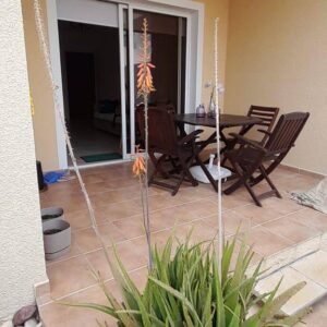 1 Bedroom Apartment for Rent in Paphos – Universal