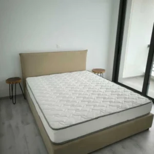 4 Bedroom House for Rent in Mesogi, Paphos District