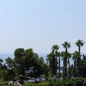 522m² Office for Rent in Limassol – Marina