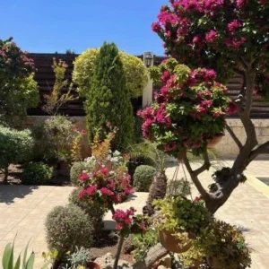 3 Bedroom House for Sale in Limassol – Agios Spyridon