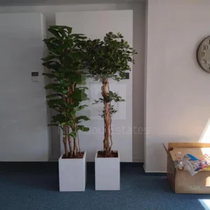 100m² Office for Rent in Agios Nikolaos, Larnaca District